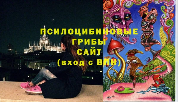 кокаин колумбия Богданович