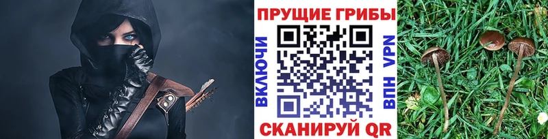ссылка на мегу сайт  сайты даркнета как зайти  Галлюциногенные грибы Cubensis  Воскресенск 